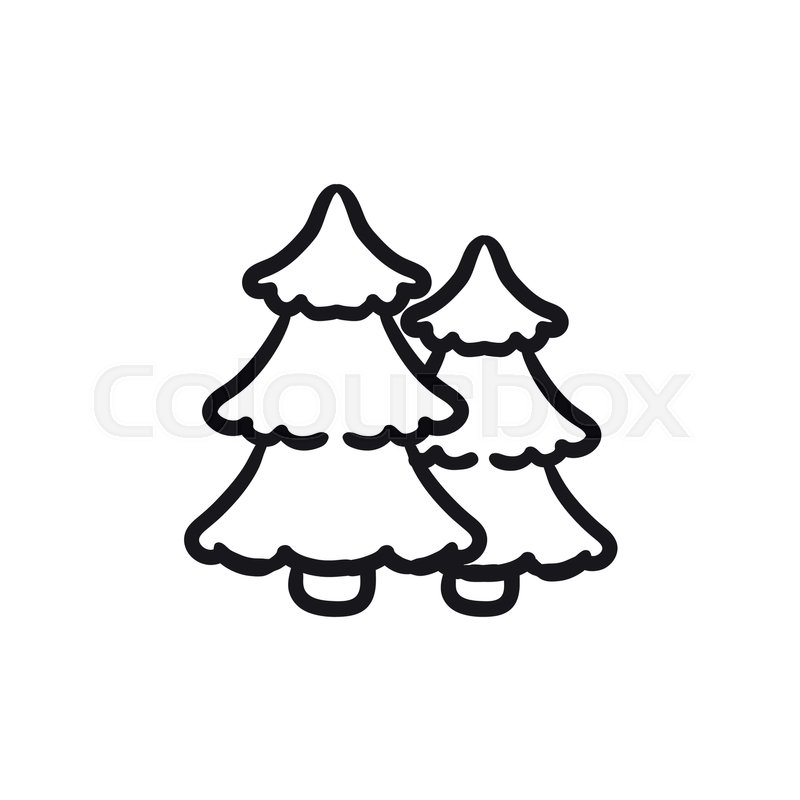 800x800 Pine Trees Vector Sketch Icon Isolated On Background. Hand Drawn - Pine Tree Sketch