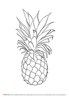 236x333 Pin By Casey On Projects To Try - Pineapple Sketch