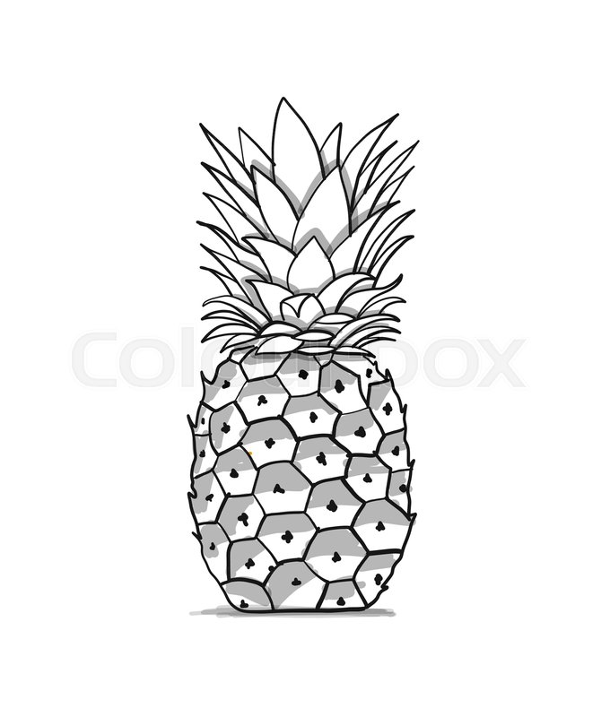 680x800 Pineapple, Sketch For Your Design. Vector Illustration Stock - Pineapple Sketch