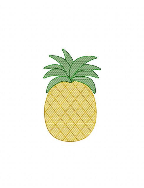 489x640 Pineapple Color Sketch Embroidery Design - Pineapple Sketch