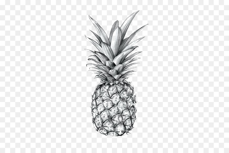 900x600 Pineapple Drawing Art Printmaking Sketch - Pineapple Sketch