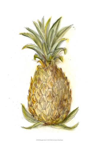 334x488 Pineapple Sketch I Print By Ethan Harper - Pineapple Sketch