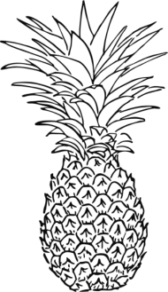 190x329 Pineapple Sketch By Spreadshirt - Pineapple Sketch