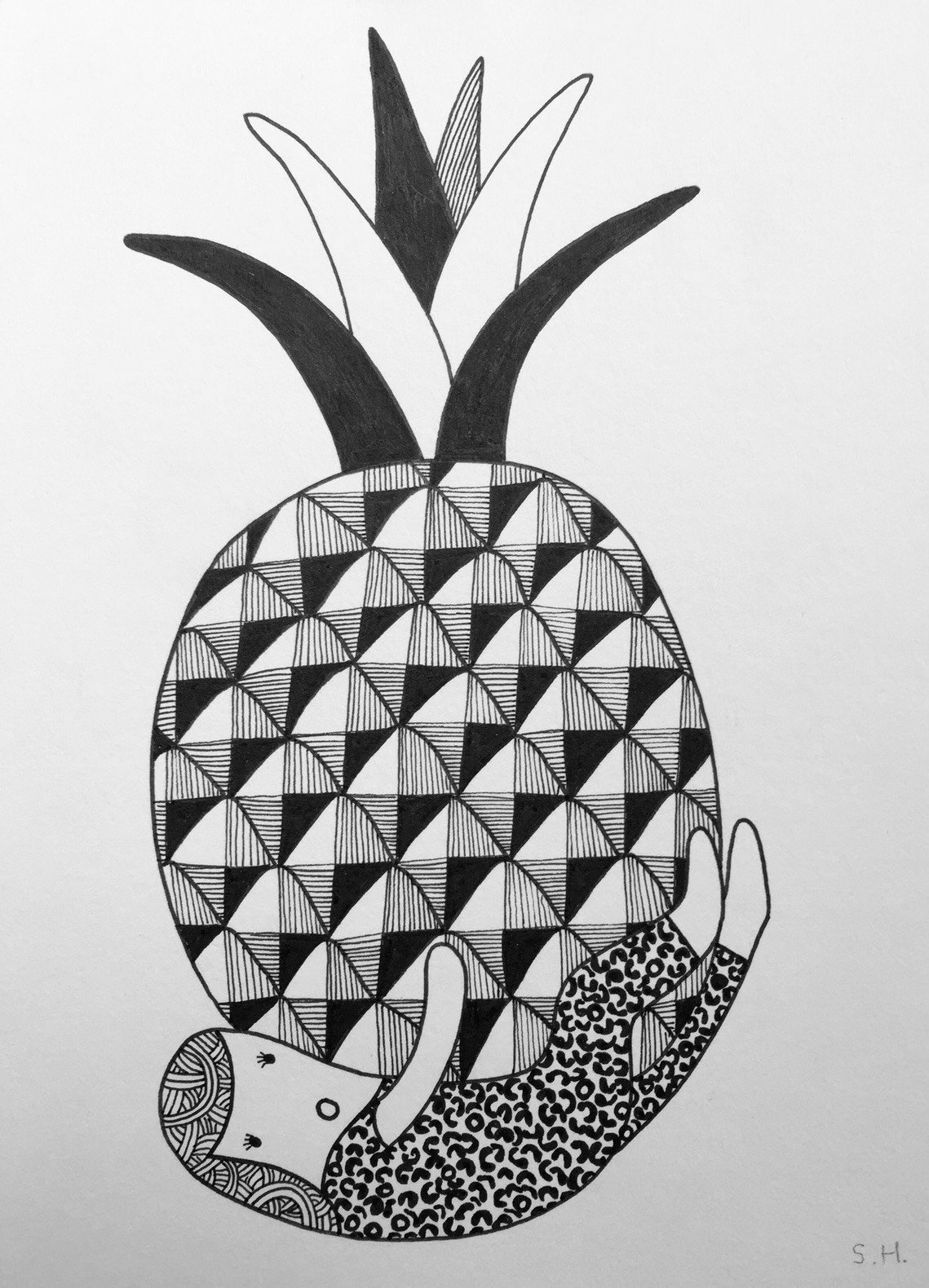 1139x1580 Sarah Hvass - Pineapple Sketch