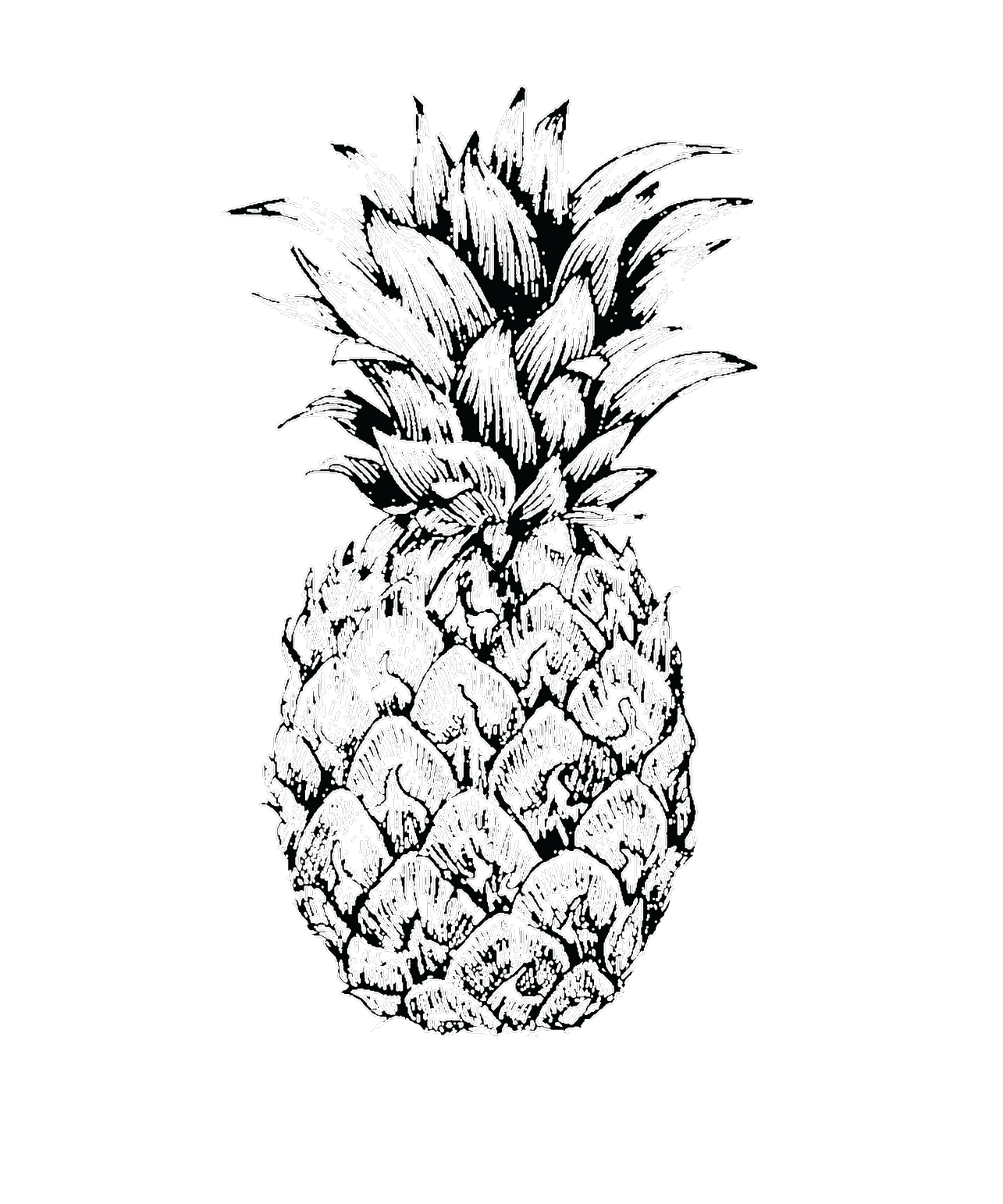 1285x1542 Torisilver Pineapple Sketch Mens T Shirt - Pineapple Sketch