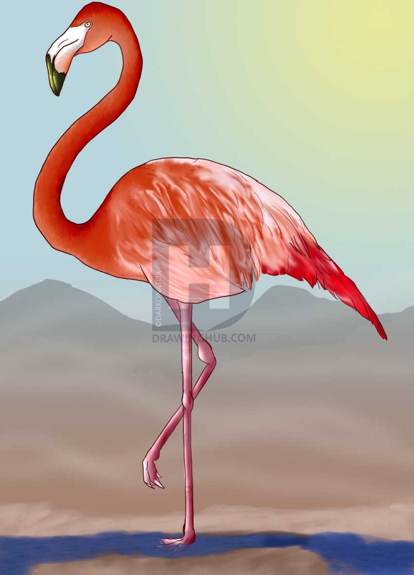850x1181 How To Draw A Flamingo, Step By Step, Drawing Guide, By Darkonator - Pink Flamingo Sketch