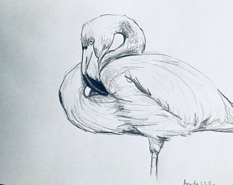 340x270 Pink Flamingo Sketch Etsy - Pink Flamingo Sketch