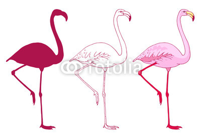 400x267 Set Of Vector Pink Flamingo Bird Illustration. Hand Drawn Sketch - Pink Flamingo Sketch