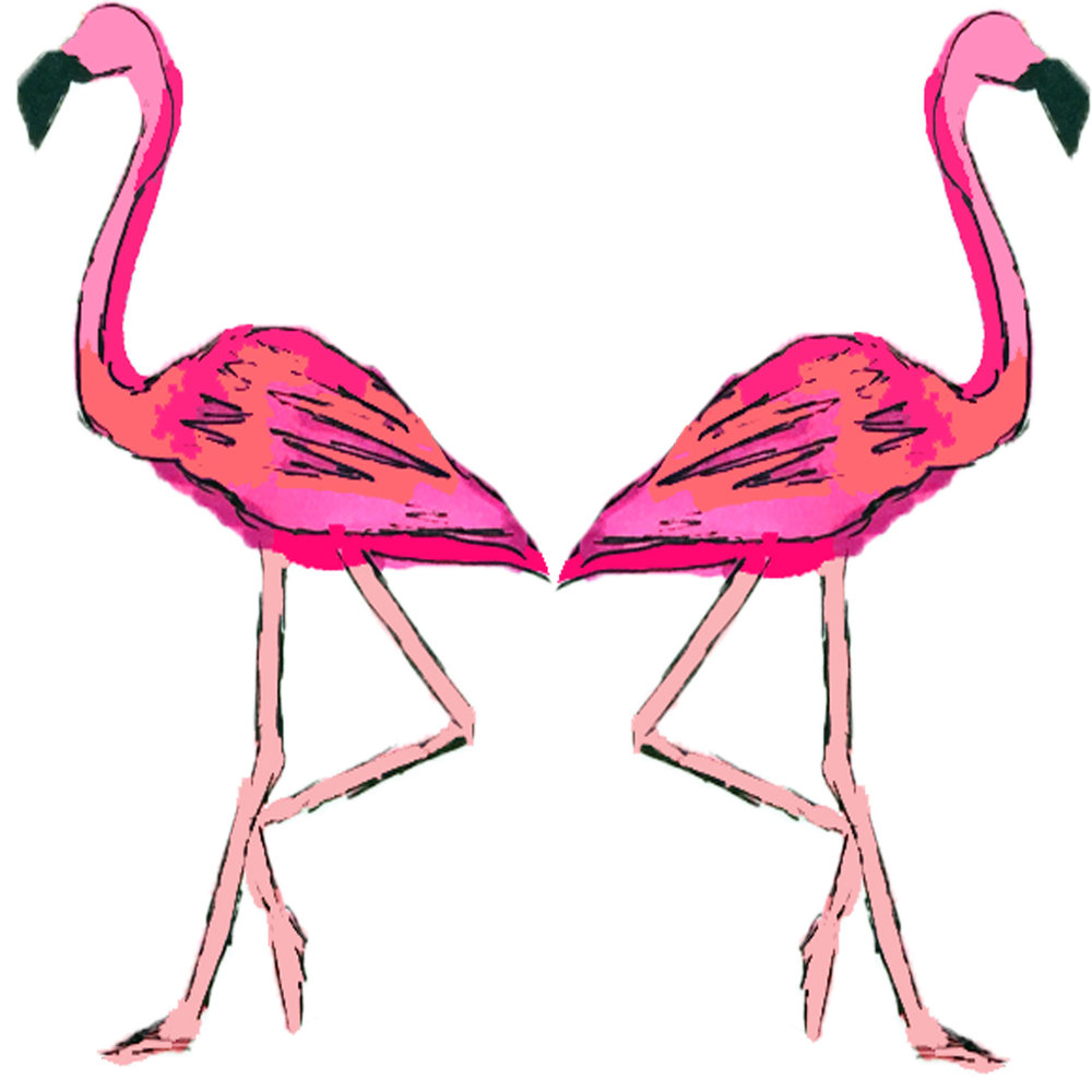 1000x1000 The Don Pink Flamingo Skirt Nikki Marie - Pink Flamingo Sketch