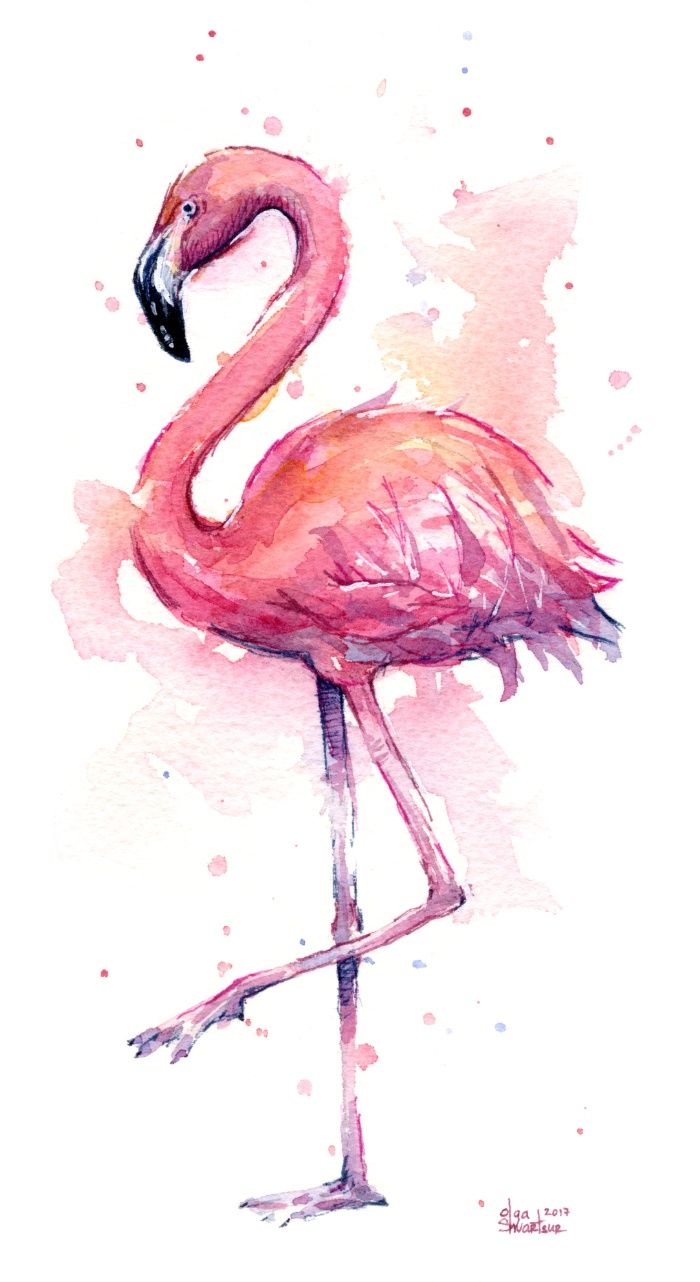 700x1282 Es Colorido Y Miy Bonito... Watercolor - Pink Flamingo Sketch