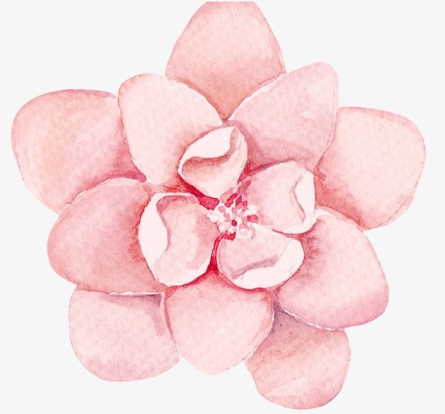 650x604 Flower, Flower Clipart, Flower Sketch, Pink Png Image And Clipart - Pink Flower Sketch