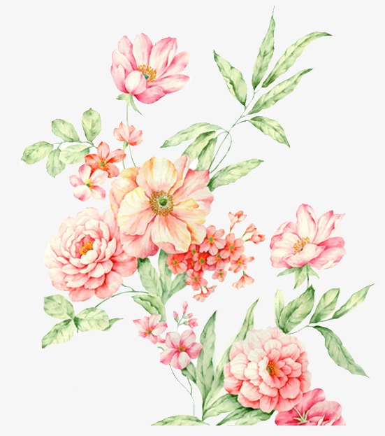 551x623 Flower Sketch, Flower Clipart, Pink, Plant Png Image And Clipart - Pink Flower Sketch
