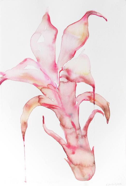 521x768 Kim Mccarty - Pink Flower Sketch