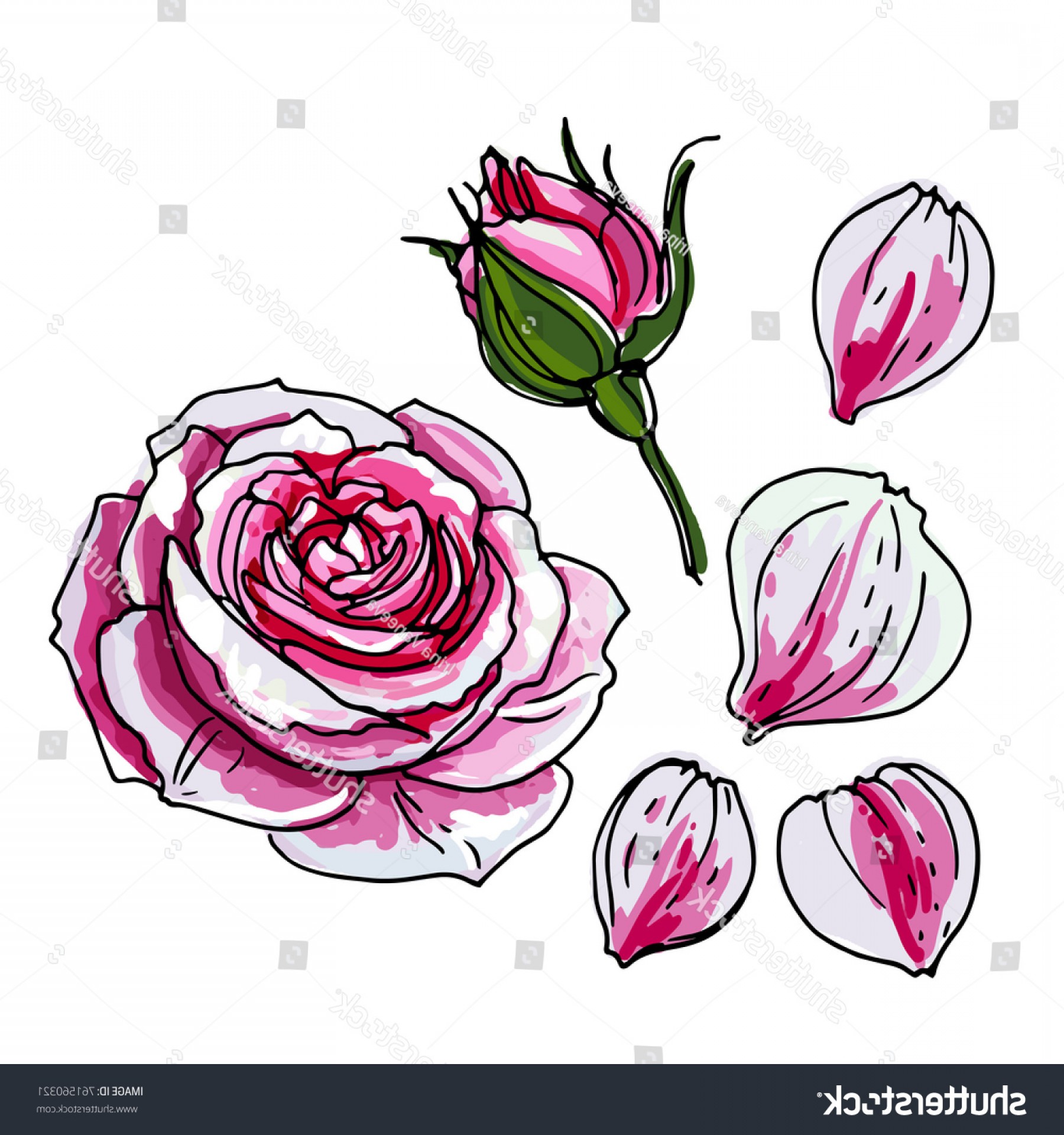 1800x1920 Rosebud Rose Flower Sketch Flowers On Shopatcloth - Pink Flower Sketch