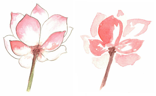 500x308 Watercolor Sketching Drawing Sarah - Pink Flower Sketch