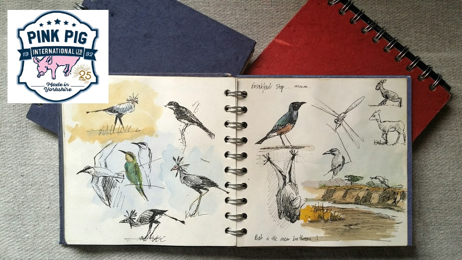 1600x900 Julie Askew - Pink Pig Sketch