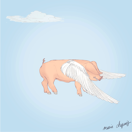 500x500 Pink Pigs Are Flying Tumblr - Pink Pig Sketch