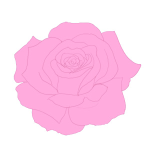 Pink Rose Sketch at PaintingValley.com | Explore collection of Pink ...