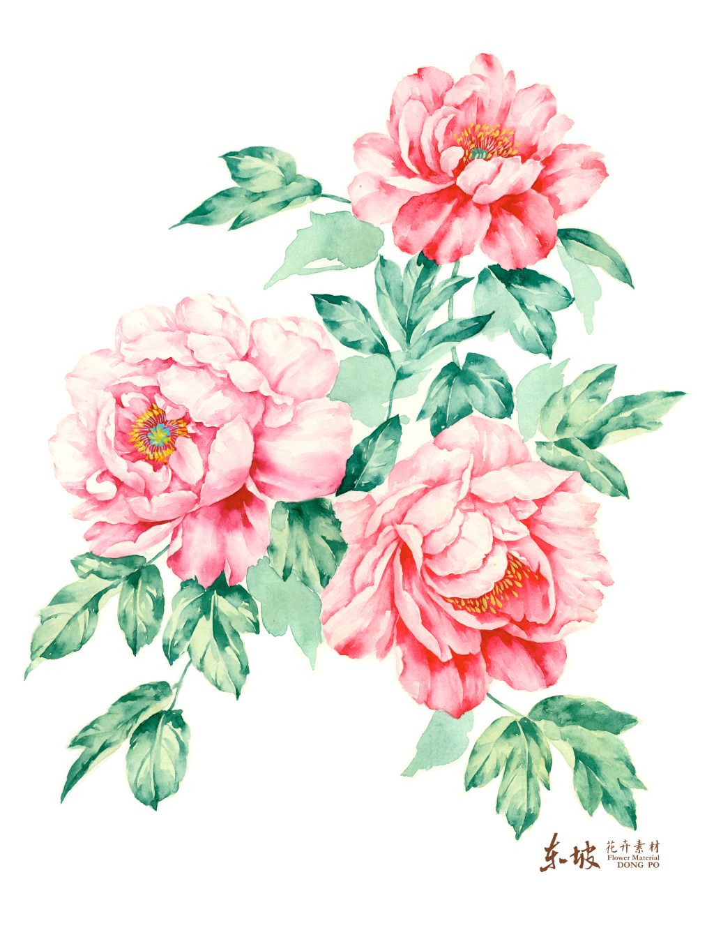 1024x1333 Pink Rose Clipart Border Sketch 7 - Pink Rose Sketch