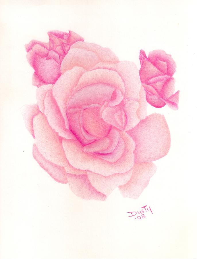686x900 Pink Rose Drawing Sketch Drawing Skill - Pink Rose Sketch