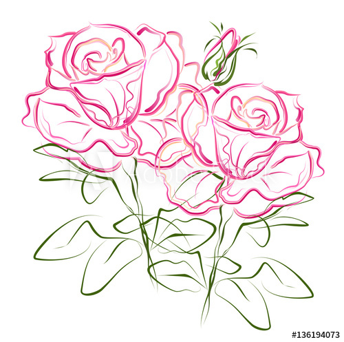 500x497 Pink Roses. Hand Drawn Stylized Color Vector Brush Sketch Of Pink - Pink Rose Sketch