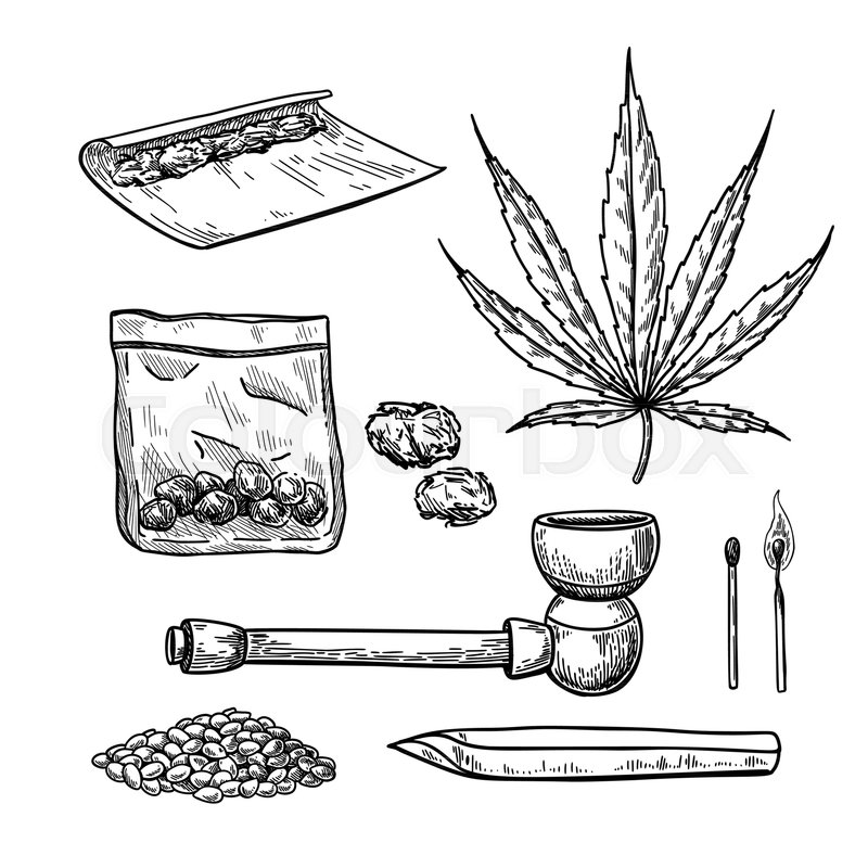 800x800 Marijuana Or Cannabis Vector Drawing Set. Plant Leaf, Pipe - Pipe Sketch