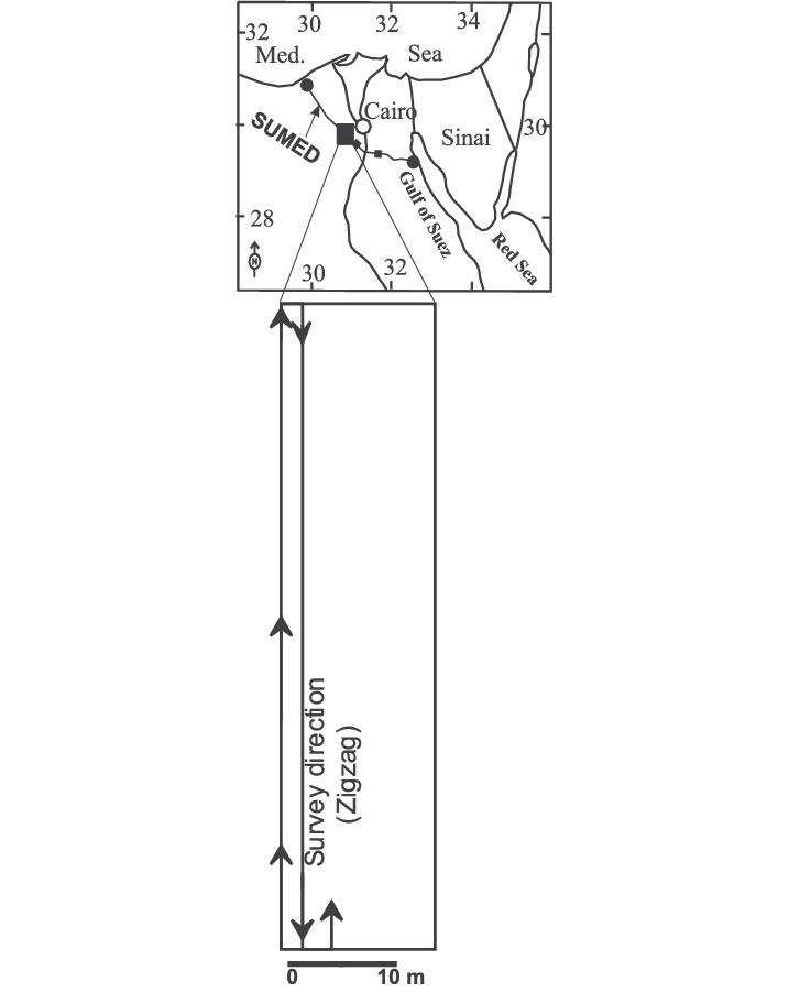717x911 Sketch For Sumed Pipeline And Location Of Study Area. Download - Pipeline Sketch