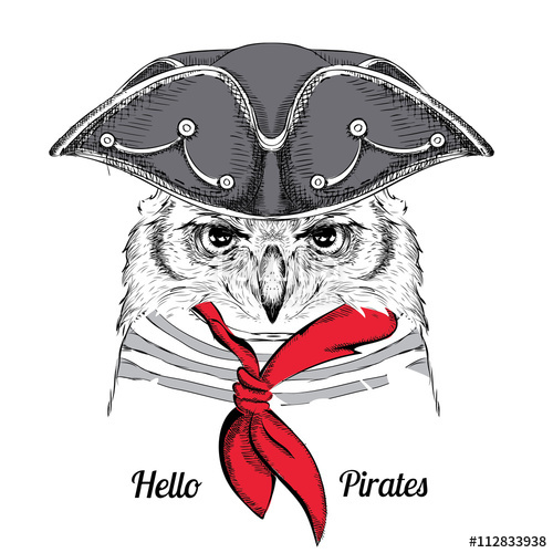 500x500 Image Portrait Owl A Pirate Hat. Vector Illustration. Stock Image - Pirate Hat Sketch