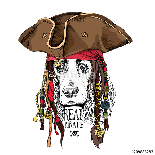 500x500 Portrait Of A Spaniel Dog In Pirate Hat, Bandana And With A - Pirate Hat Sketch