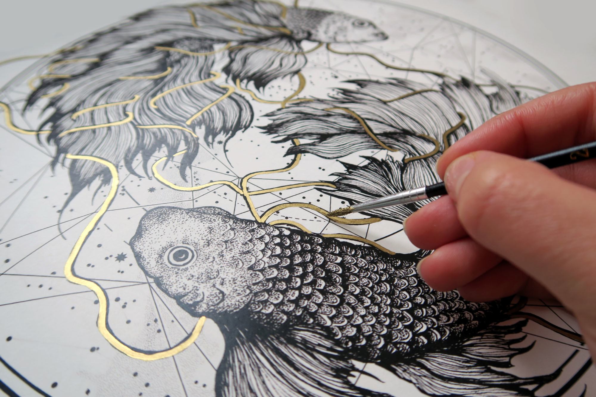 2000x1333 Pisces ~ Terryemi - Pisces Sketch