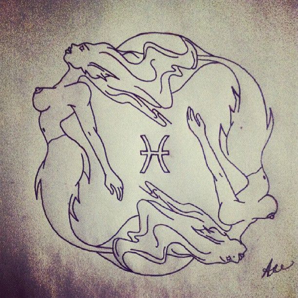 612x612 Custom - Pisces Sketch