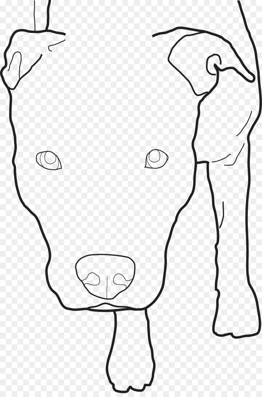 900x1360 American Pit Bull Terrier Line Art Drawing Sketch - Pit Sketch