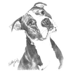 236x236 276 Best Dogs Pitties 2 Images Drawings Of Dogs - Pitbull Dog Sketch