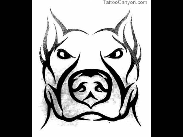 637x478 Pitbull Dog Face Drawing - Pitbull Dog Sketch