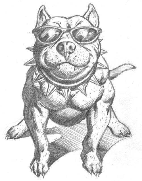 500x636 Collection Of Pitbull Dog Drawing Face High Quality, Free - Pitbull Dog Sketch