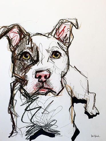 371x495 Pitbull Sketch Marker, Pen, Pencil, Colored Pencil And Highlighter - Pitbull Dog Sketch