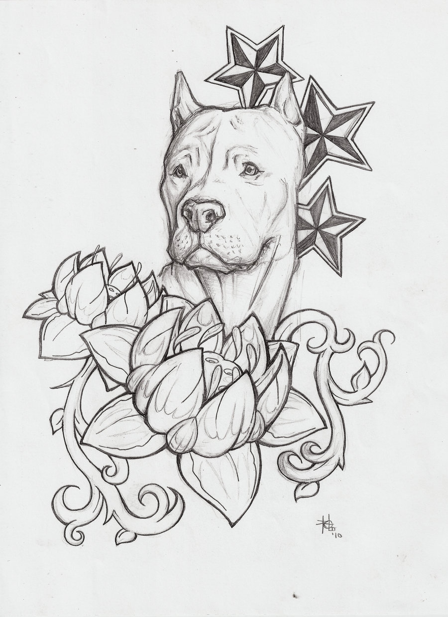 900x1238 7 Pit Bull Dog Tattoo Designs And Stencils - Pitbull Dog Sketch