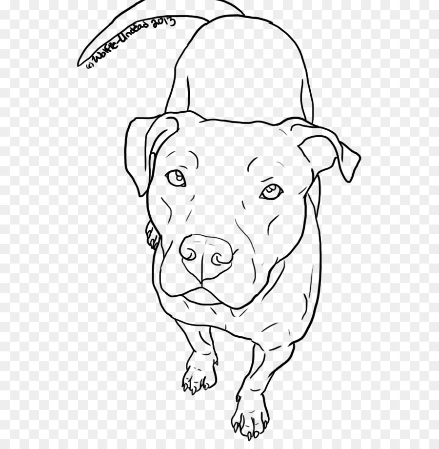 900x920 American Pit Bull Terrier Drawing Line Art - Pitbull Dog Sketch