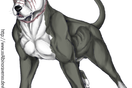 450x300 Collection Of Free Pitbull Drawing Animated. Download On Ubisafe - Pitbull Dog Sketch