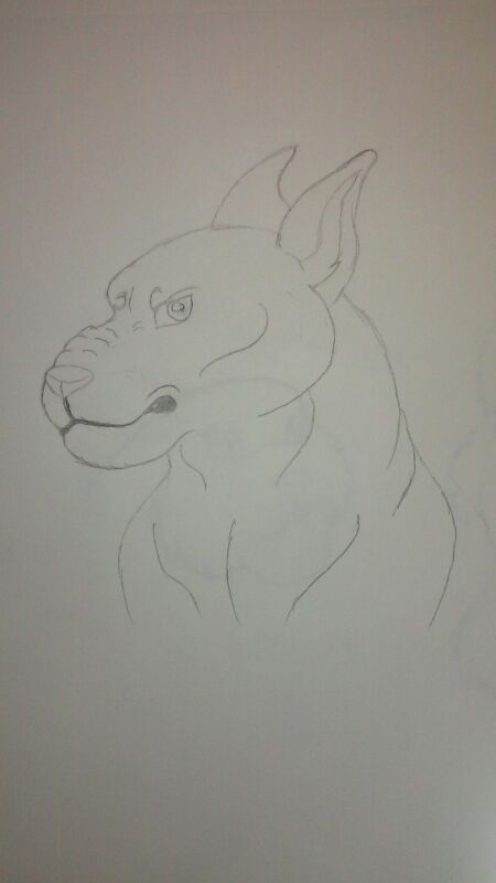 450x800 Kratos The Pitbull Sketch By Fluffytail17 - Pitbull Sketch