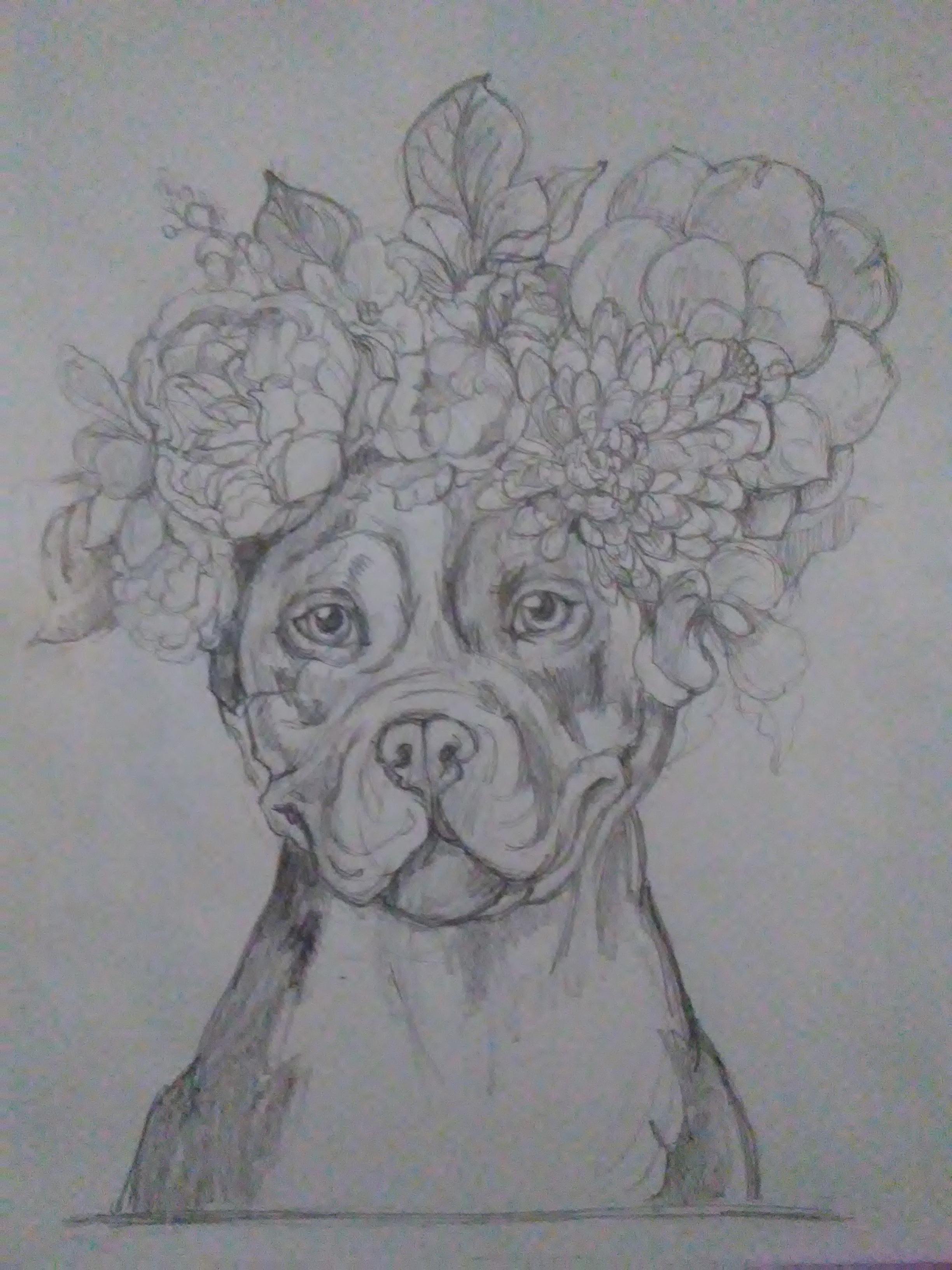 2448x3264 Pitbull Flower Crown, - Pitbull Sketch Art