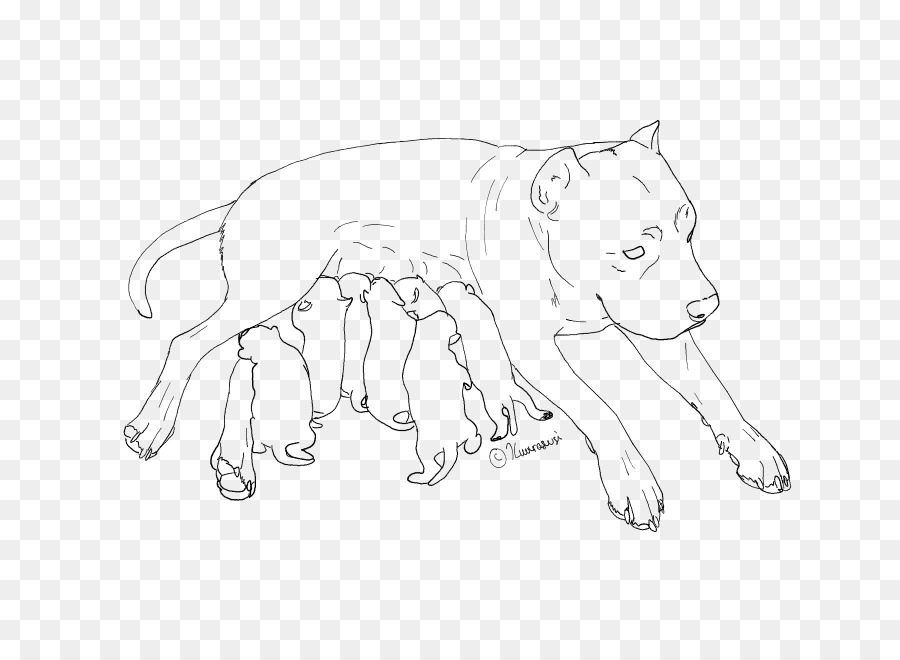 900x660 American Pit Bull Terrier Line Art Drawing Puppy - Pitbull Sketch Art