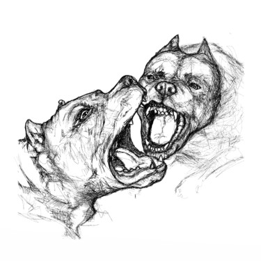 375x375 Pitbull Attack. (Dmitry Payvin) - Pitbull Sketch Art