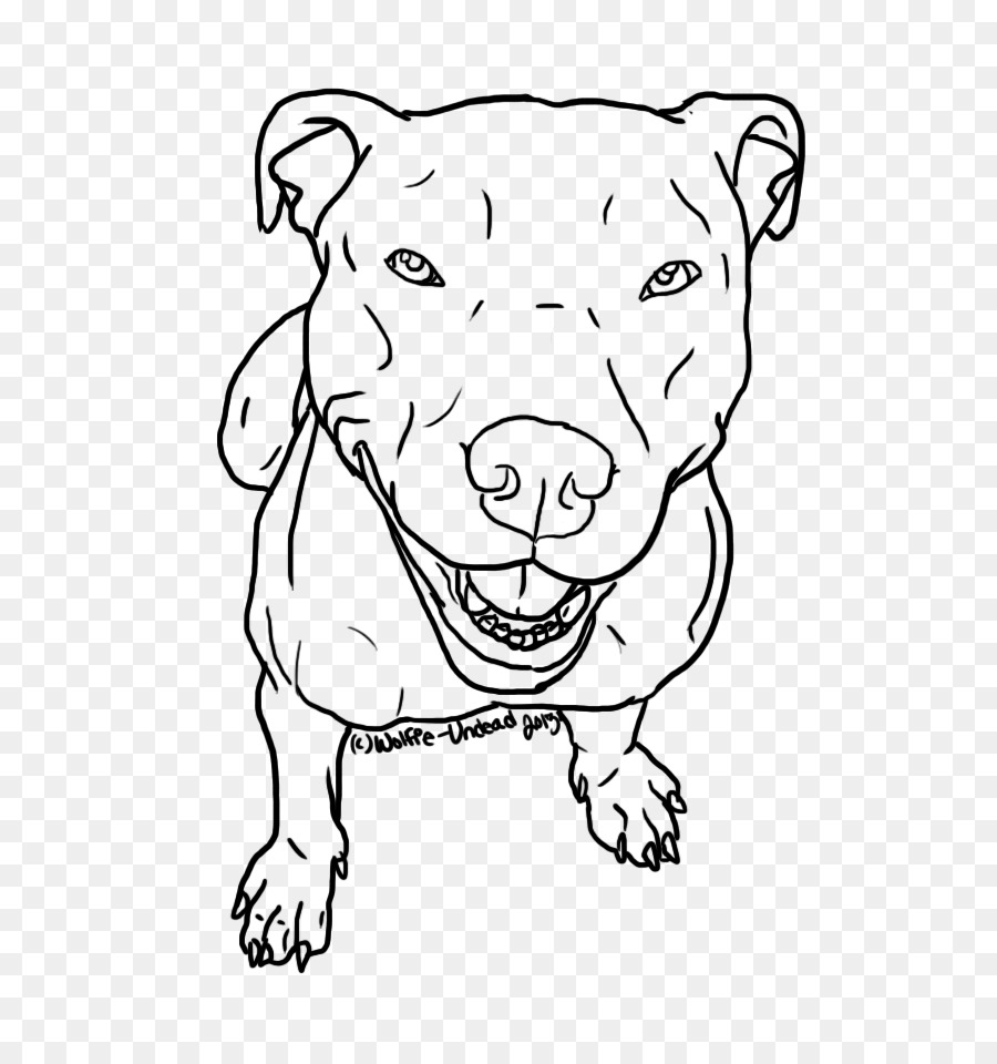 900x960 American Pit Bull Terrier Line Art Drawing Sketch - Pitbull Sketch Art