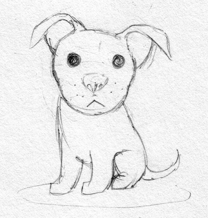 873x915 Cute Pitbull Sketch By Dogmaniac - Pitbull Sketch Art