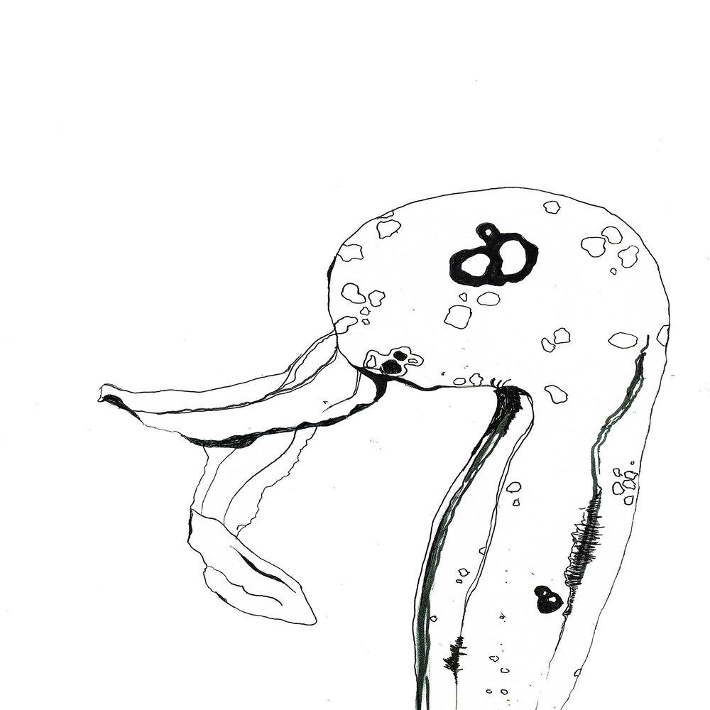 1000x1000 Pitcher Hannah Whelan - Pitcher Sketch