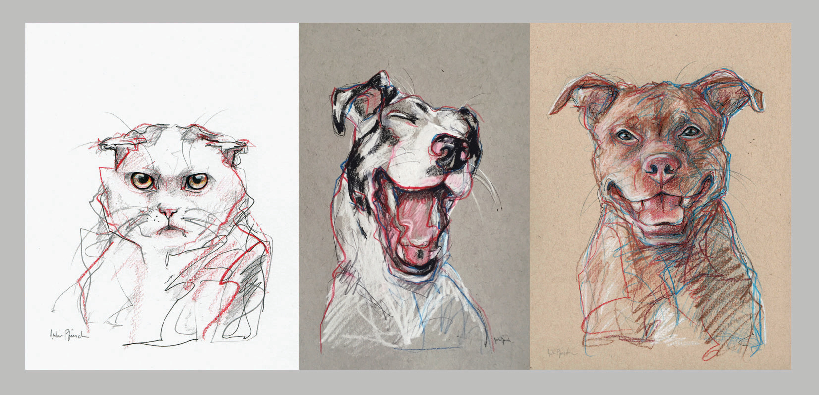 1653x797 Pittsburgh Pennsylvania Custom Pet Portraits Sketchesdrawings - Pittsburgh Sketches