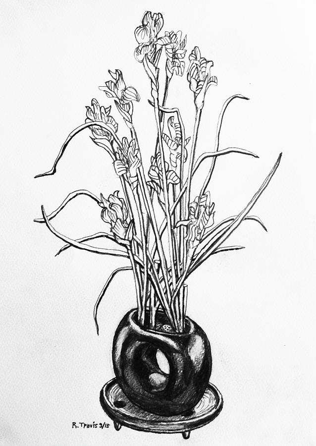 638x900 Flower Pot Drawing By Rich Travis - Plant Pot Sketch