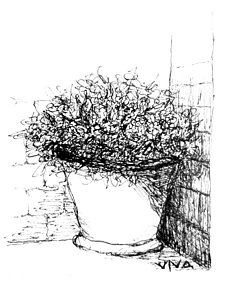 234x300 Flower Pot Drawings Fine Art America - Plant Pot Sketch