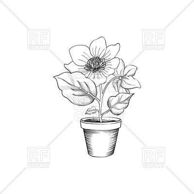400x400 Flower Pot Engraving Vector Image Vector Artwork Of Objects - Plant Pot Sketch
